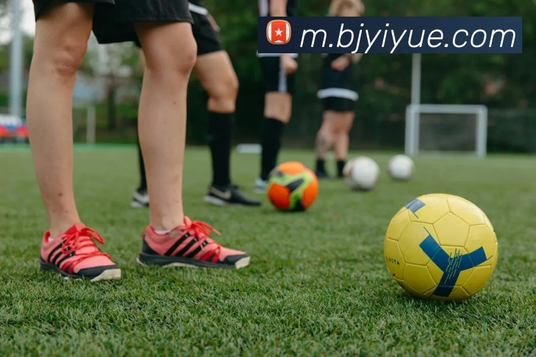 乐虎体育平台生态图