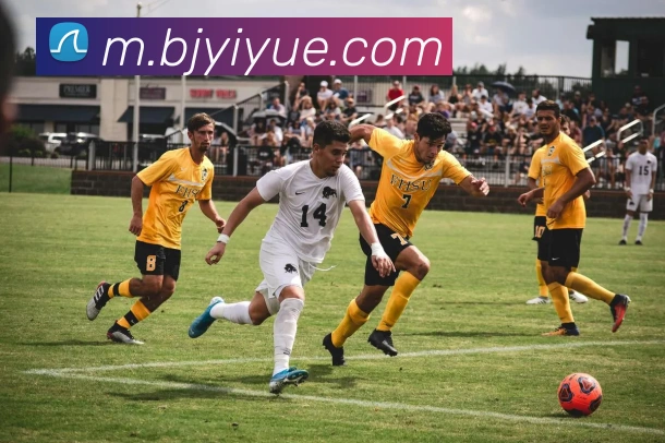 乐虎体育APP 封面图